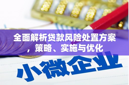 屏边全面解析贷款风险处置方案，策略、实施与优化