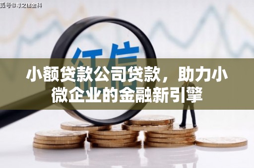 屏边小额贷款公司贷款，助力小微企业的金融新引擎