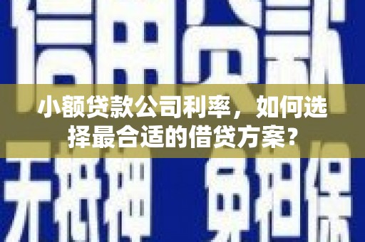 屏边小额贷款公司利率，如何选择最合适的借贷方案？