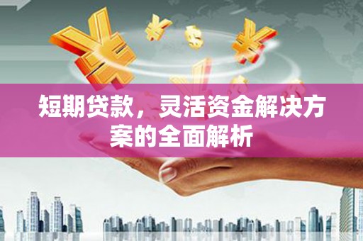 屏边短期贷款，灵活资金解决方案的全面解析