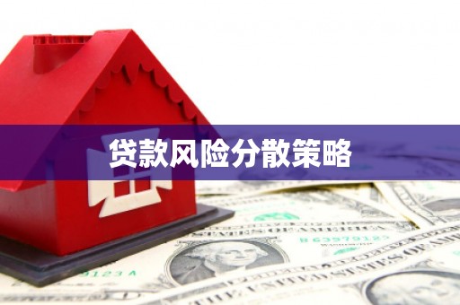 屏边贷款风险分散策略