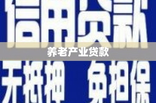 屏边养老产业贷款