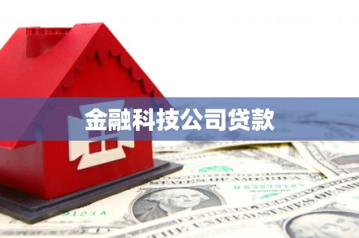 屏边金融科技公司贷款