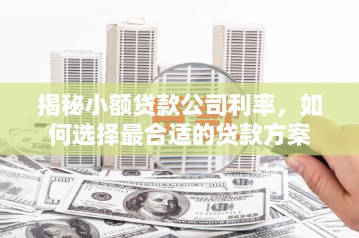 屏边揭秘小额贷款公司利率，如何选择最合适的贷款方案