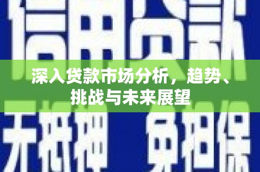 屏边深入贷款市场分析，趋势、挑战与未来展望