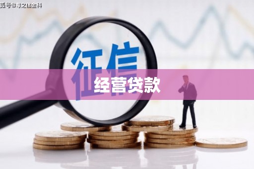 屏边经营贷款