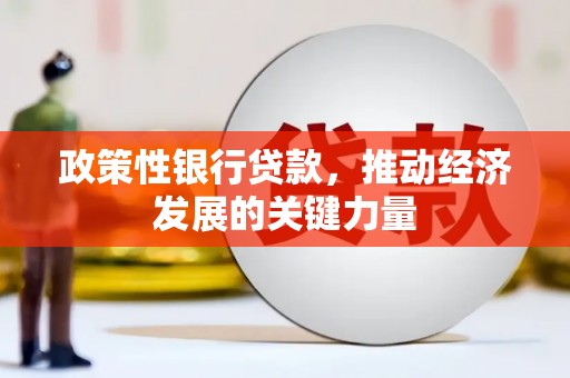 屏边政策性银行贷款，推动经济发展的关键力量