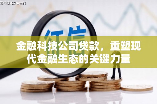 屏边金融科技公司贷款，重塑现代金融生态的关键力量