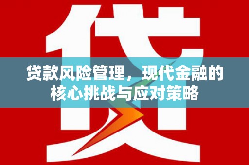 屏边贷款风险管理，现代金融的核心挑战与应对策略