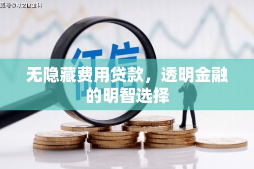 屏边无隐藏费用贷款，透明金融的明智选择