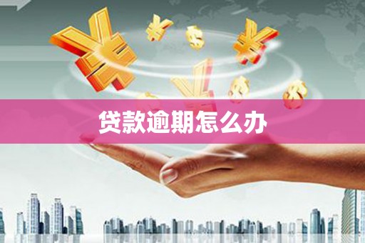屏边贷款逾期怎么办