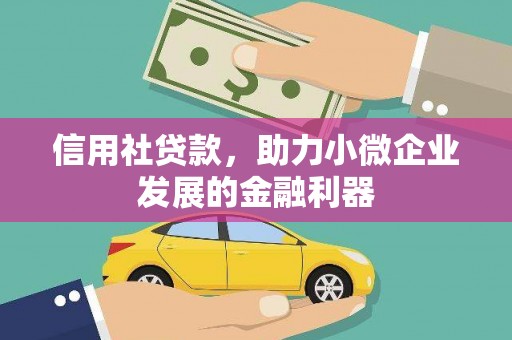 屏边信用社贷款，助力小微企业发展的金融利器