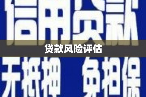 屏边贷款风险评估