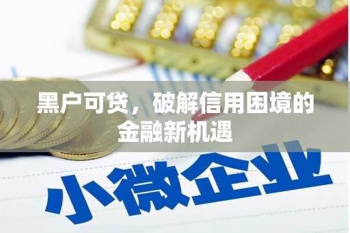屏边黑户可贷，破解信用困境的金融新机遇