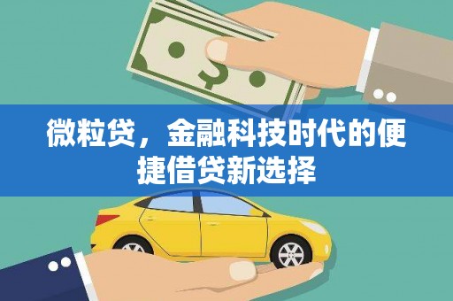 屏边微粒贷，金融科技时代的便捷借贷新选择