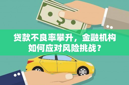屏边贷款不良率攀升，金融机构如何应对风险挑战？