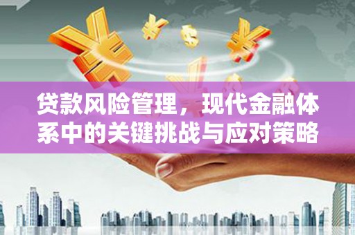 屏边贷款风险管理，现代金融体系中的关键挑战与应对策略