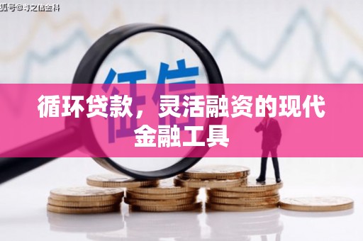 屏边循环贷款，灵活融资的现代金融工具