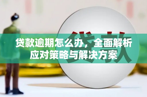 屏边贷款逾期怎么办，全面解析应对策略与解决方案