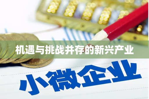 屏边机遇与挑战并存的新兴产业