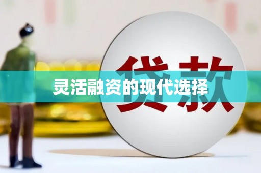 屏边灵活融资的现代选择