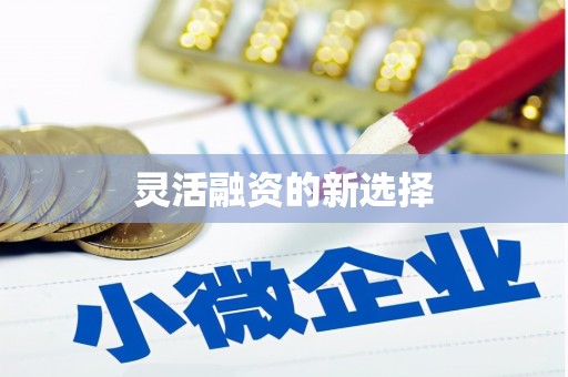 屏边灵活融资的新选择