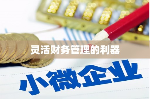 屏边灵活财务管理的利器