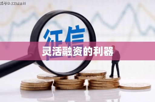 屏边灵活融资的利器