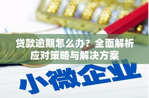 屏边贷款逾期怎么办？全面解析应对策略与解决方案
