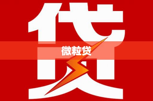 屏边微粒贷