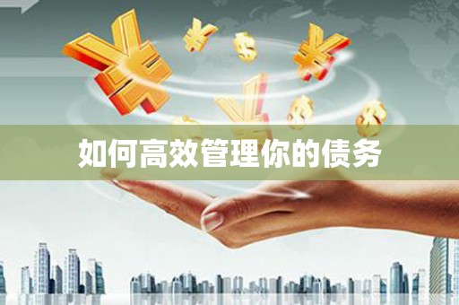 屏边如何高效管理你的债务