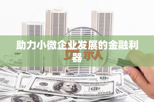 屏边助力小微企业发展的金融利器
