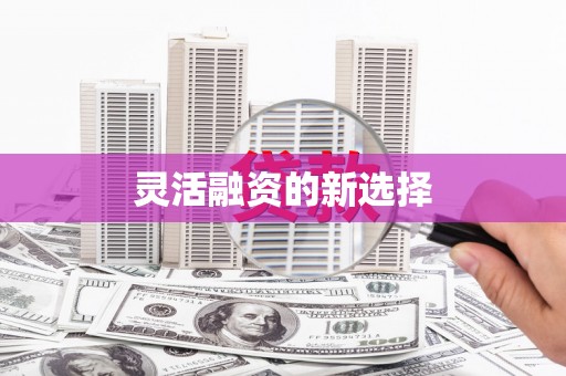 屏边灵活融资的新选择