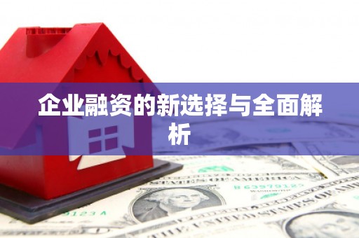 屏边企业融资的新选择与全面解析