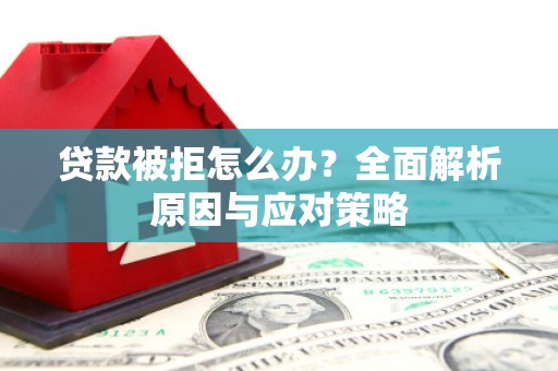 屏边贷款被拒怎么办？全面解析原因与应对策略