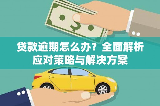 屏边贷款逾期怎么办？全面解析应对策略与解决方案