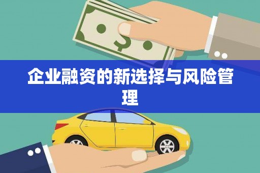 屏边企业融资的新选择与风险管理