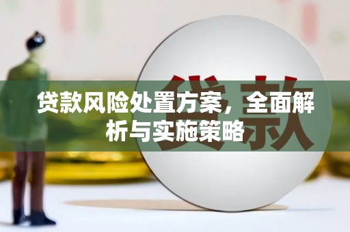屏边贷款风险处置方案，全面解析与实施策略