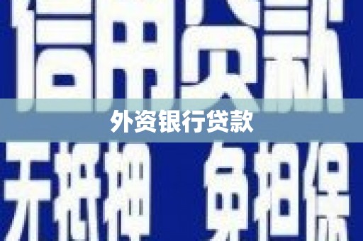 屏边外资银行贷款