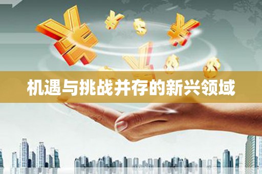 屏边机遇与挑战并存的新兴领域