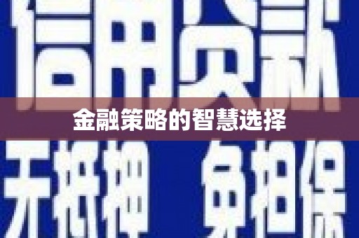 屏边金融策略的智慧选择