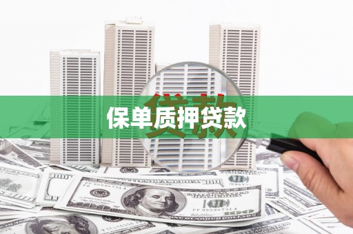 屏边保单质押贷款