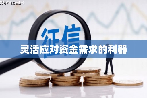 屏边灵活应对资金需求的利器