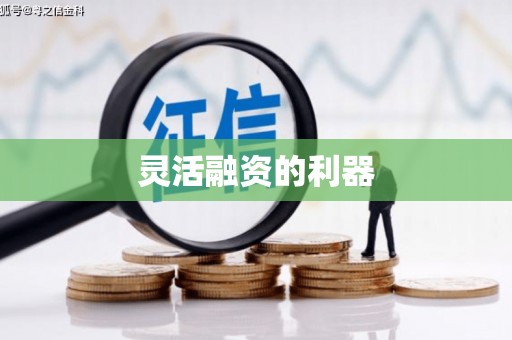 屏边灵活融资的利器