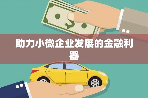 屏边助力小微企业发展的金融利器