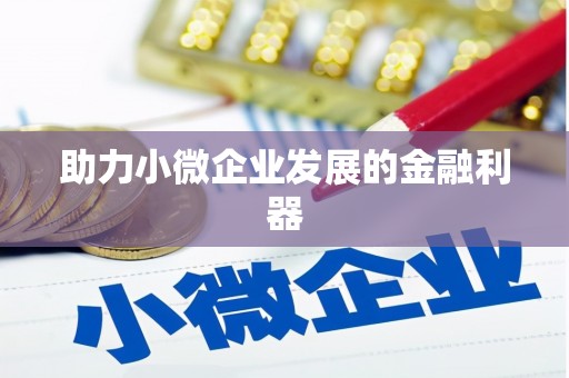 屏边助力小微企业发展的金融利器