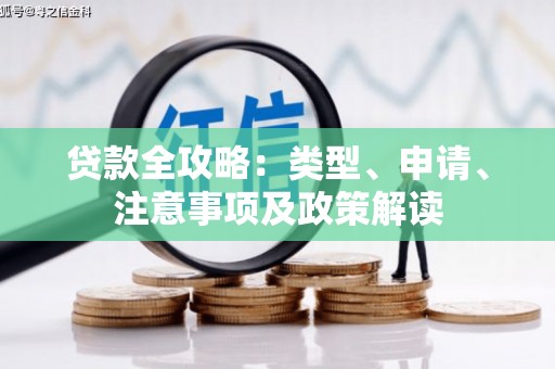 屏边贷款全攻略：类型、申请、注意事项及政策解读
