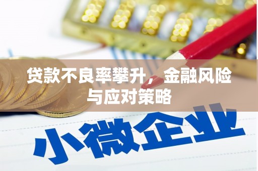 屏边贷款不良率攀升，金融风险与应对策略