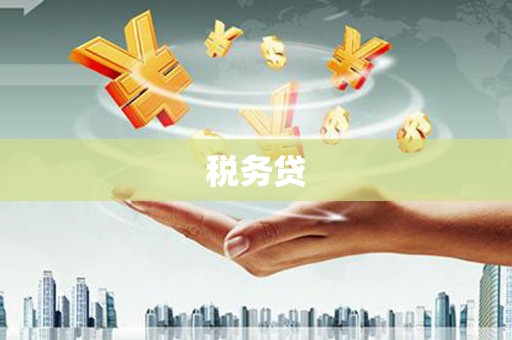屏边税务贷